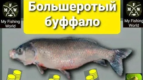 My Fishing World Большеротый Буффало ловим одного за другим