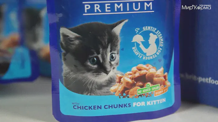 Обзор влажного корма Brit Premium для котят с курицей