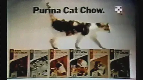 Purina 'Chow! Chow! Chow!' Cat Food Commercial (1975)