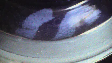 Bosch Logixx 6 - strange low water level with aqa plus selected - Sensitive 60, first rinse