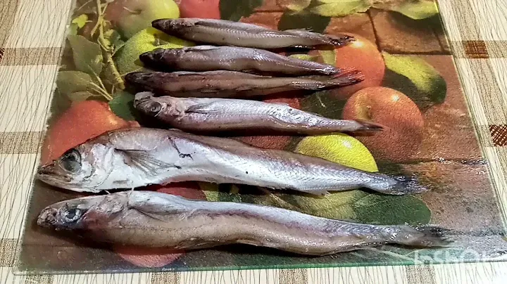 🌟БЕЛАЯ МОРСКАЯ РЫБА - дешёвая, но очень вкусная и полезная-ПУТАССУ! Простая в приготовлении!